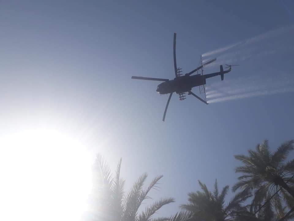 بدء الحملة الجوية لمكافحة دوباس النخيل في كربلاء