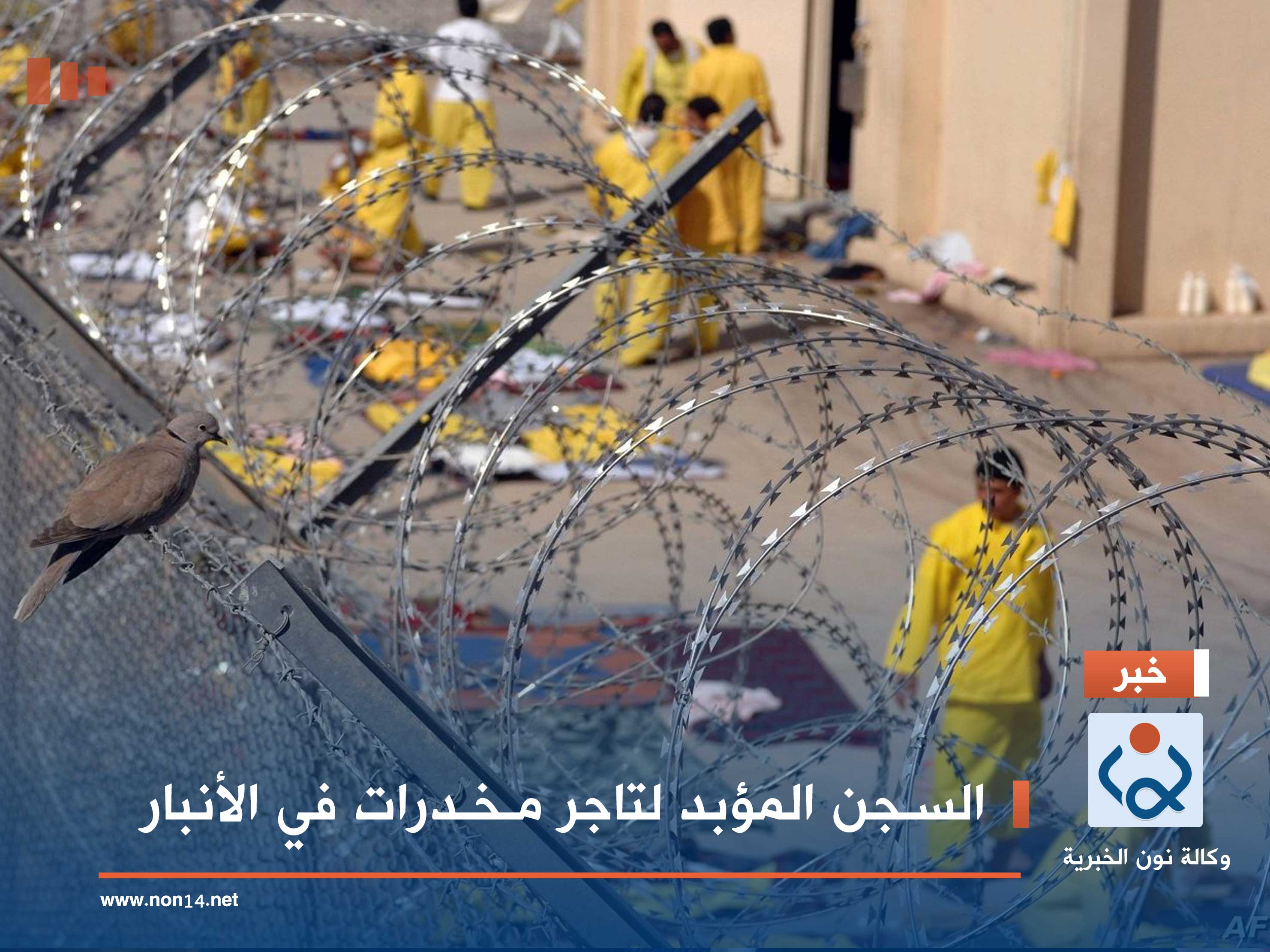 السجن المؤبد لتاجر مخدرات في الأنبار