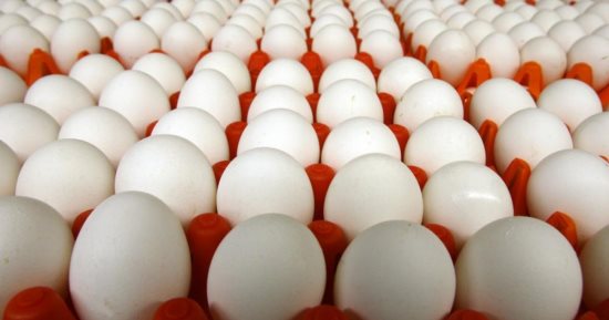 إتلاف أطنان "البيض التالف" في كربلاء