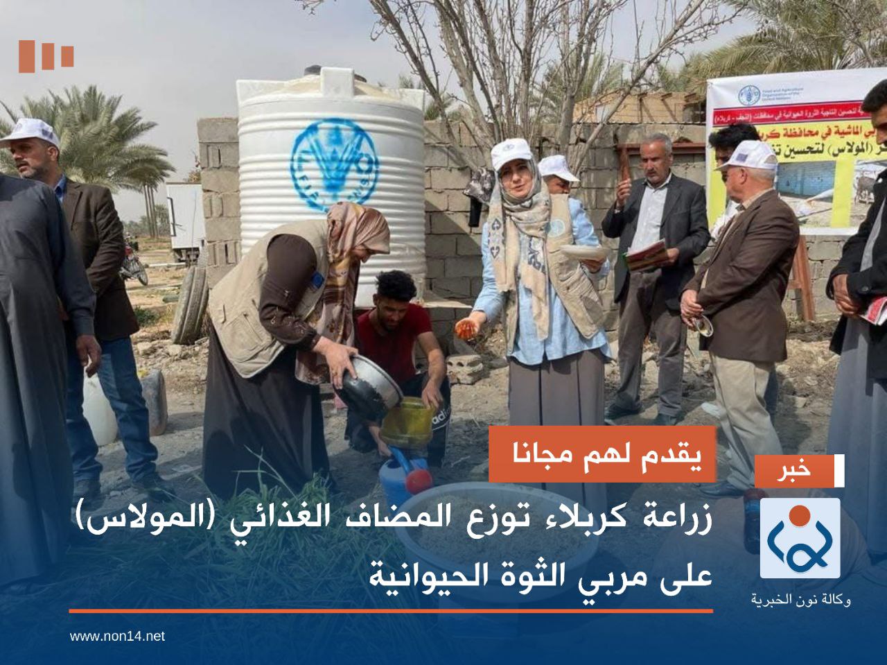 يقدم لهم مجانا.. زراعة كربلاء توزع المضاف الغذائي (المولاس) على مربي الثوة الحيوانية