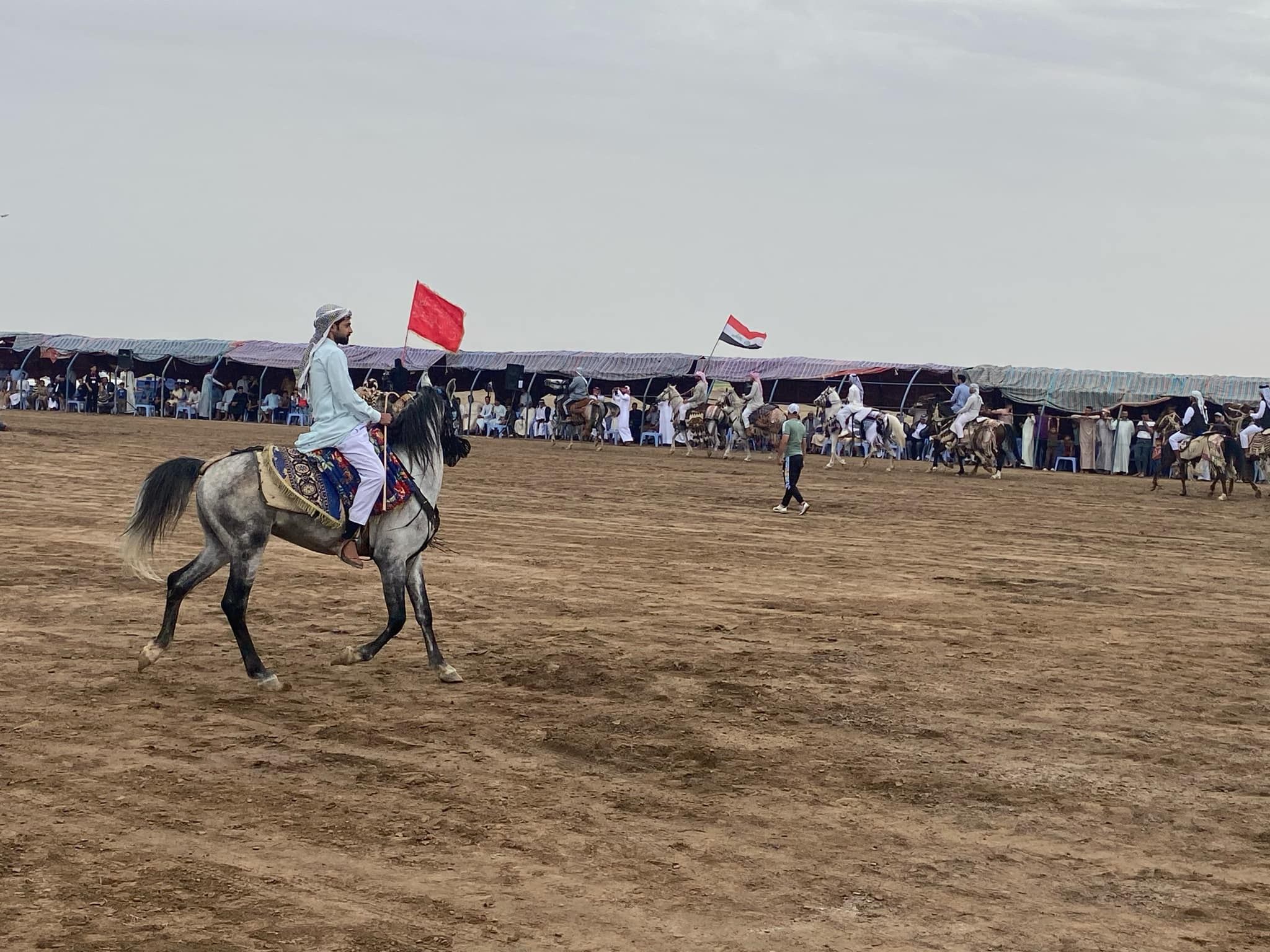 الديوانية تحتضن مهرجان الخيول العربية لمحافظات الجنوب و الفرات الأوسط