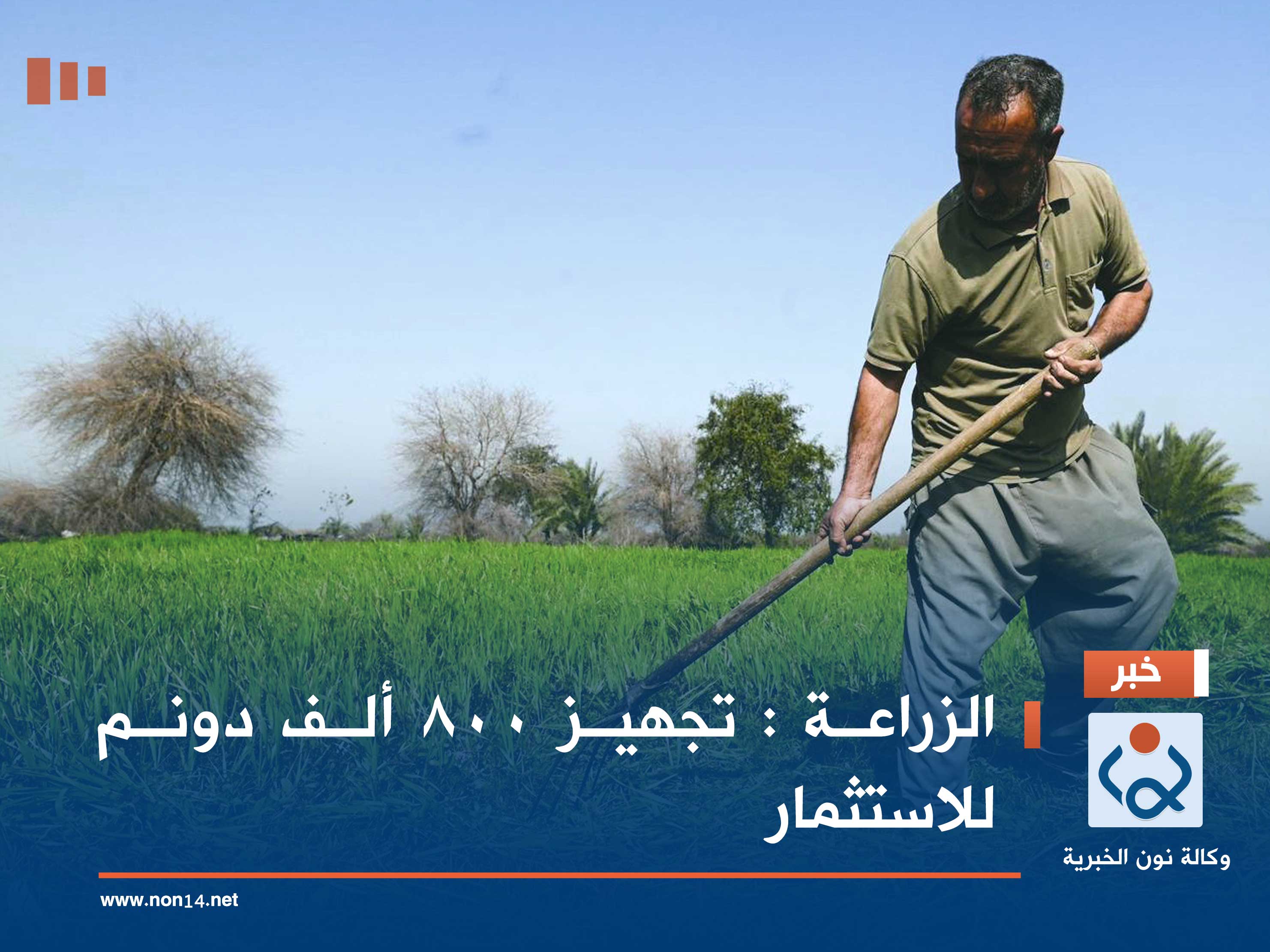 الزراعة : تجهيز 800 ألف دونم للاستثمار