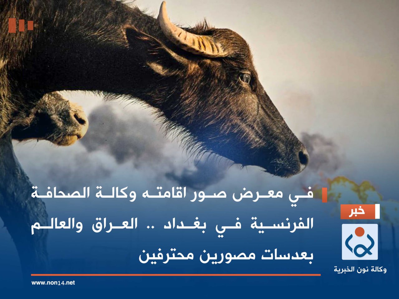 في معرض صور اقامته وكالة الصحافة الفرنسية في بغداد .. العراق والعالم بعدسات مصورين محترفين