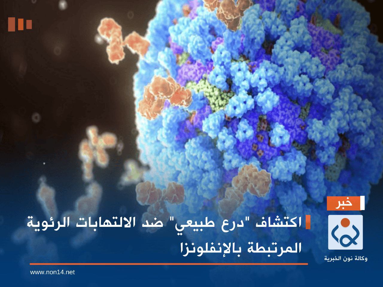 اكتشاف "درع طبيعي" ضد الالتهابات الرئوية المرتبطة بالإنفلونزا