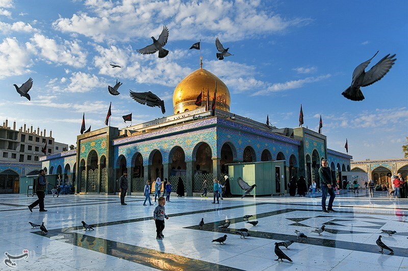 دَوحَةُ العِلم  (في ميلاد الصِّدِّيقة الصُّغرىٰ زينب الكبرىٰ "ع". )