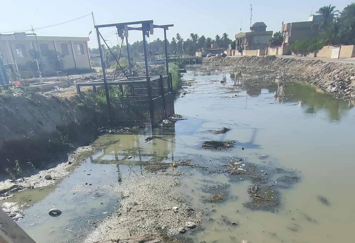 العراق.. ملوحة غير مسبوقة في المثنى تهدّد الزراعة وتدفع إلى الهجرة