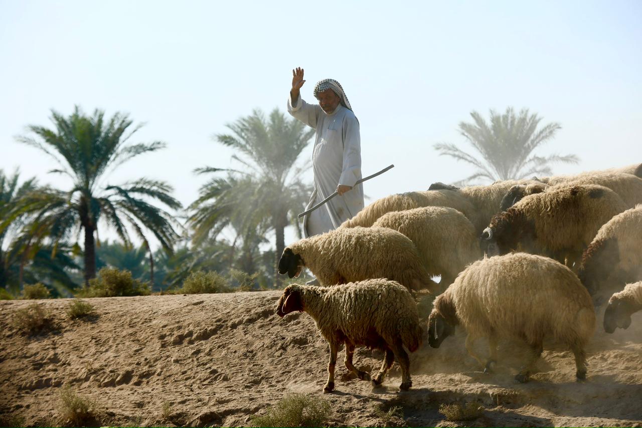 العطش يضرب قرية جنوبي العراق.. والسلطات تتدخل بحفر آبار إنقاذ