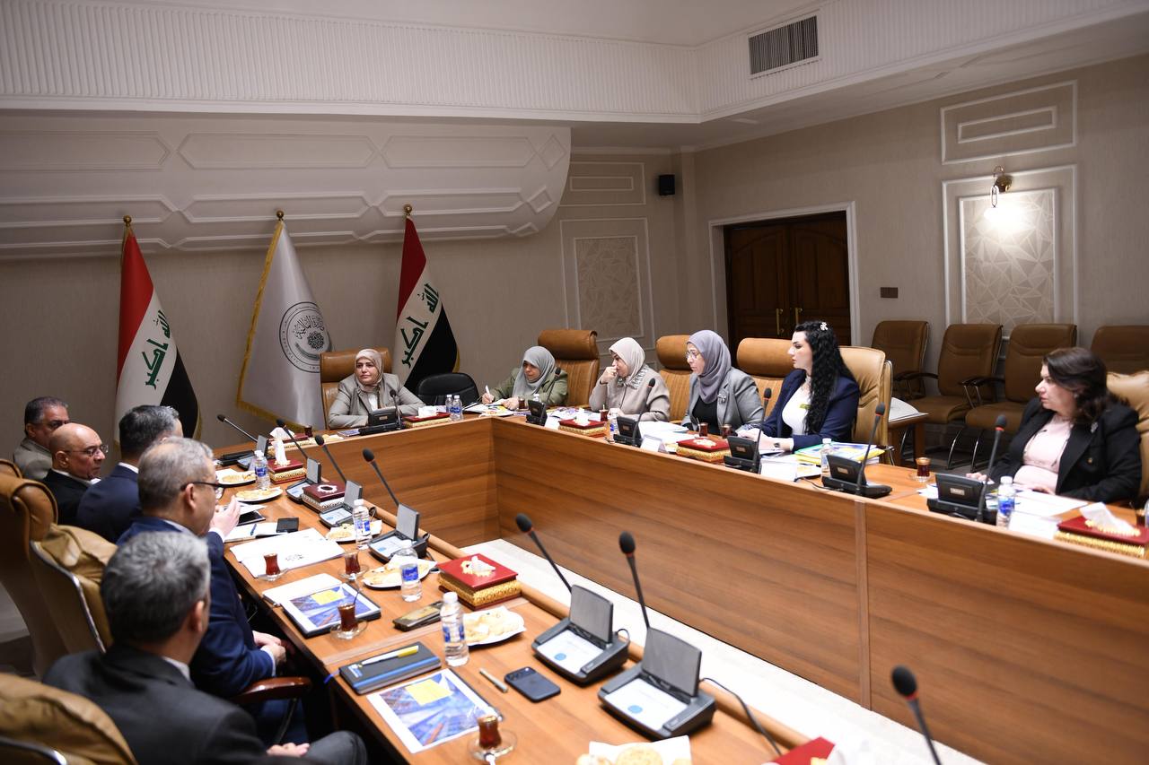 المالية تناقش إجراءات لتقليص الإنفاق.. إيقاف احتساب الشهادات وبيع السيارات القديمة