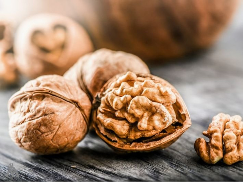 دراسة توضح أهمية الجوز في دعم صحة القلب والشرايين