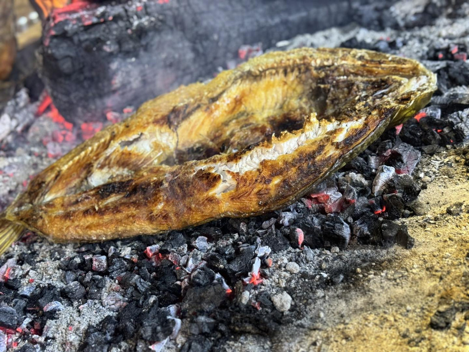 السمك "المسكوف" يستنزف أشجار العراق