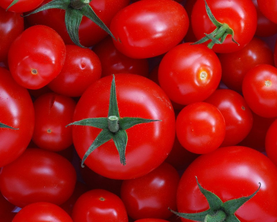 أبعد من مجرد "غلاء".. حرب هرمز تكشف هشاشة "اقتصاد الاستيراد"