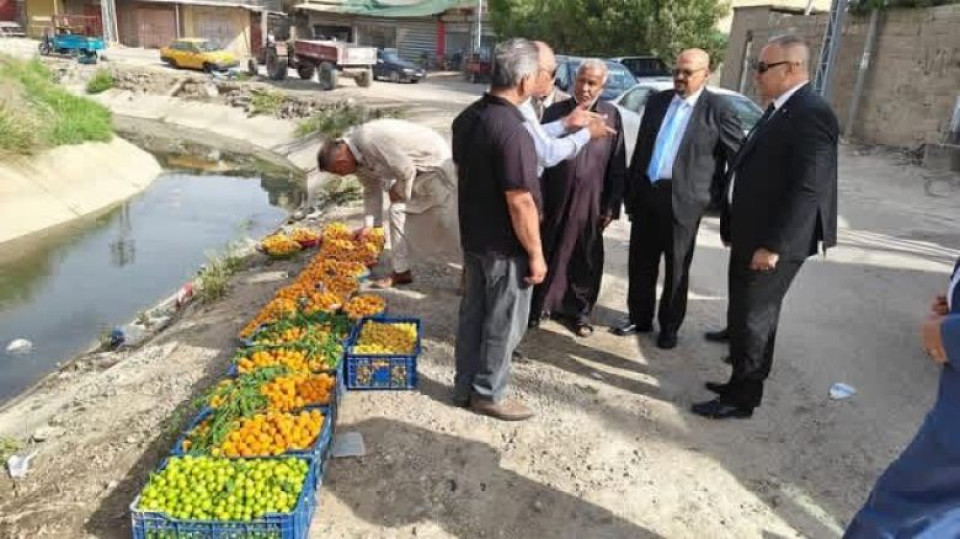 بعد القضاء على الآفات الزراعية :كربلاء تتصدر إنتاج الفواكه