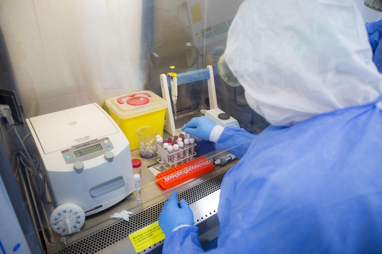 العراق .. 66 اصابة جديدة و59 حالة شفاء من كورونا