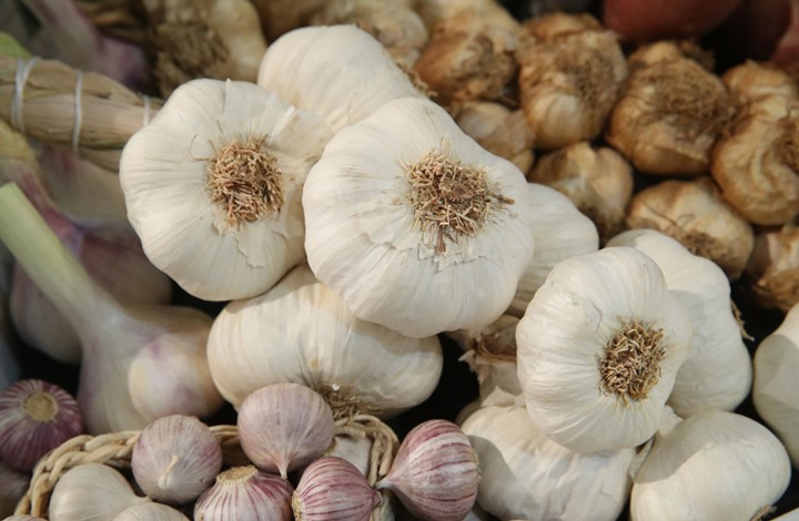 من تقوية جهاز المناعة إلى خفض الكوليسترول .. 5 فوائد صحية رئيسية للثوم