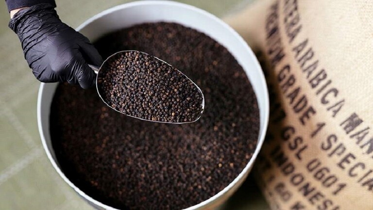 العلماء يثبتون قدرة البيبيرين في الفلفل الأسود على كبح "كوفيد- 19"