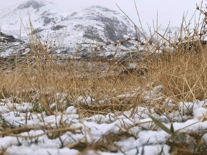 أربيل تستقبل الثلوج مبكراً.. البياض يكسو مدينة حاج عمران (صور)