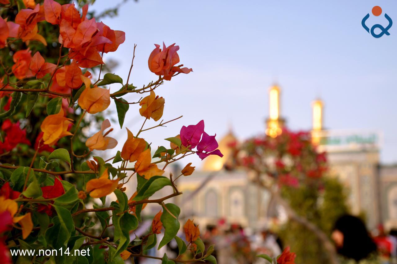 طقس العراق.. إرتفاع في درجات الحرارة خلال الايام الأربعة المقبلة