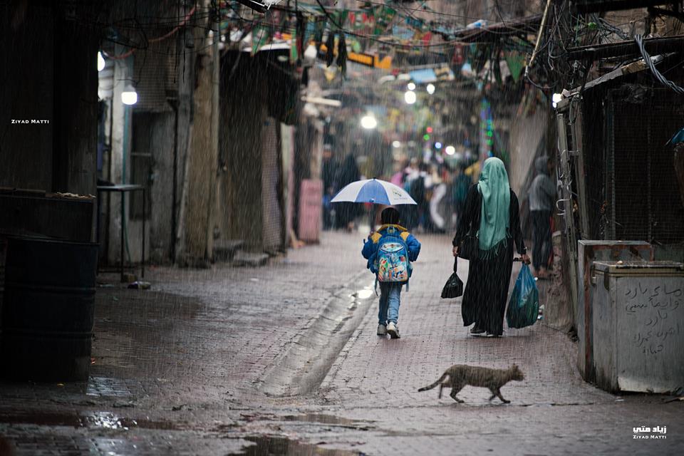 غبار وامطار.. تعرف على حالة الطقس في العراق