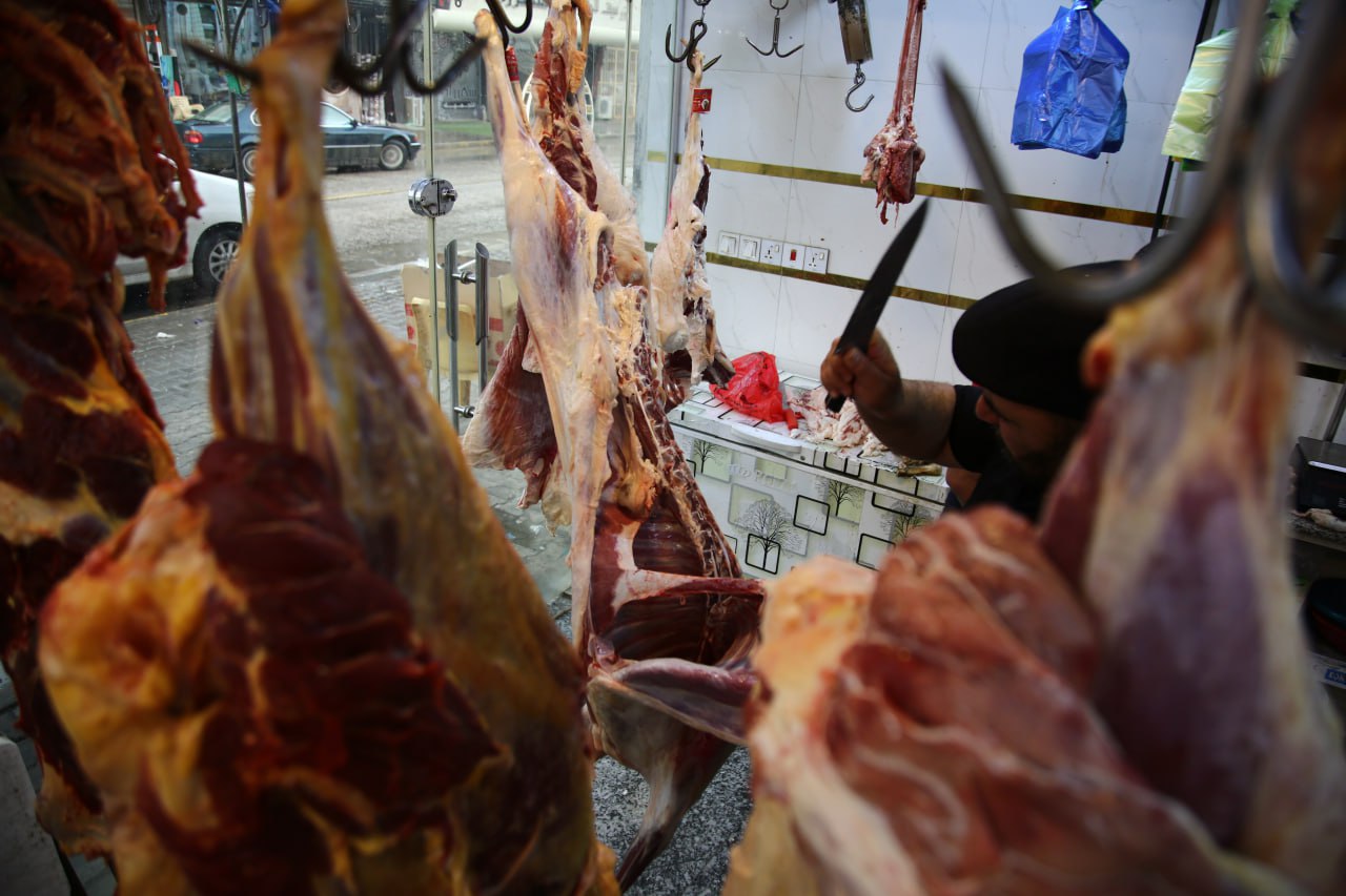 الزراعة العراقية تشجع استيراد اللحوم الحمراء وتقترح إلغاء جمرك الحيوانات الحية