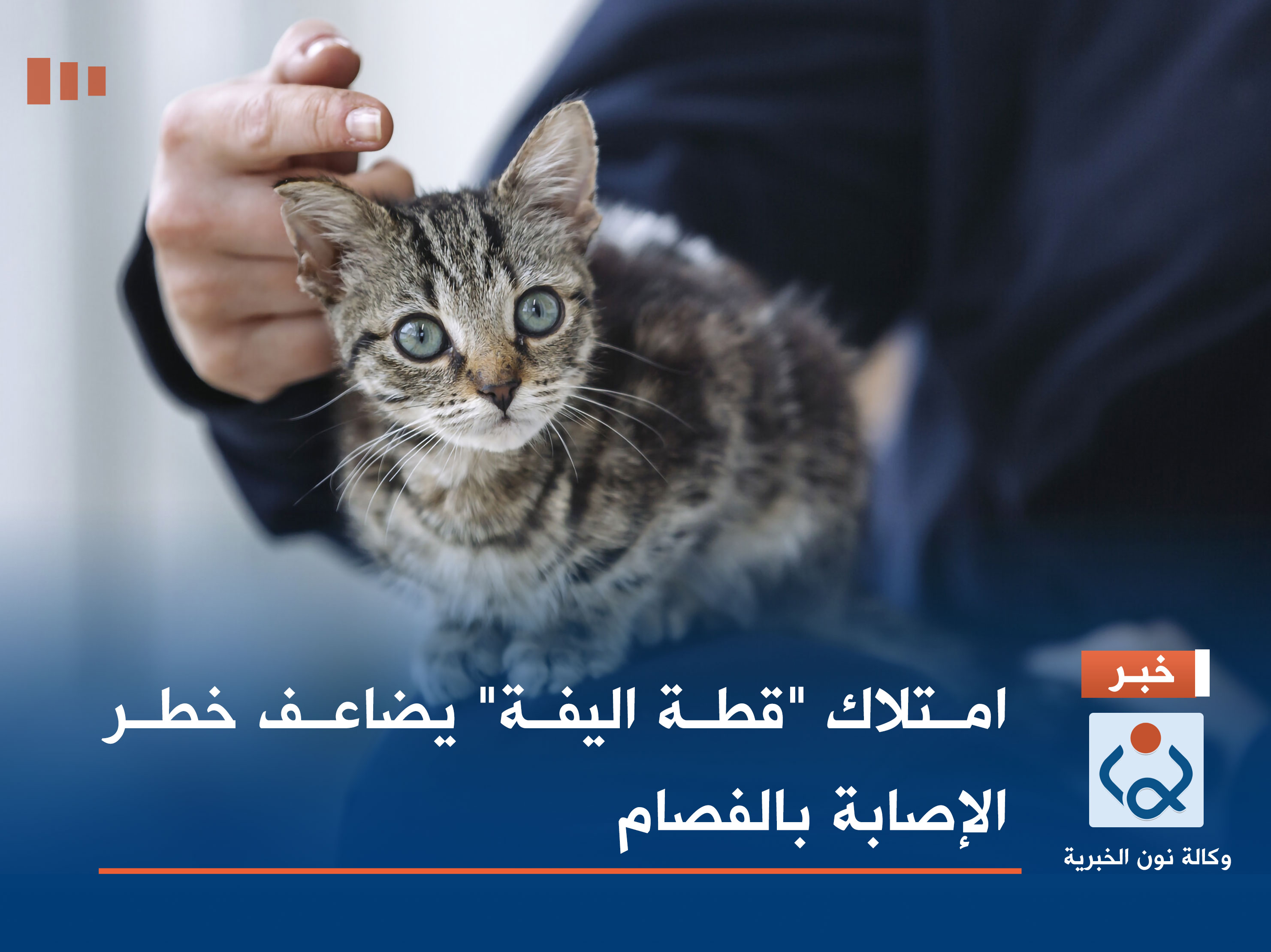 امتلاك "قطة اليفة" يضاعف خطر الإصابة بالفصام