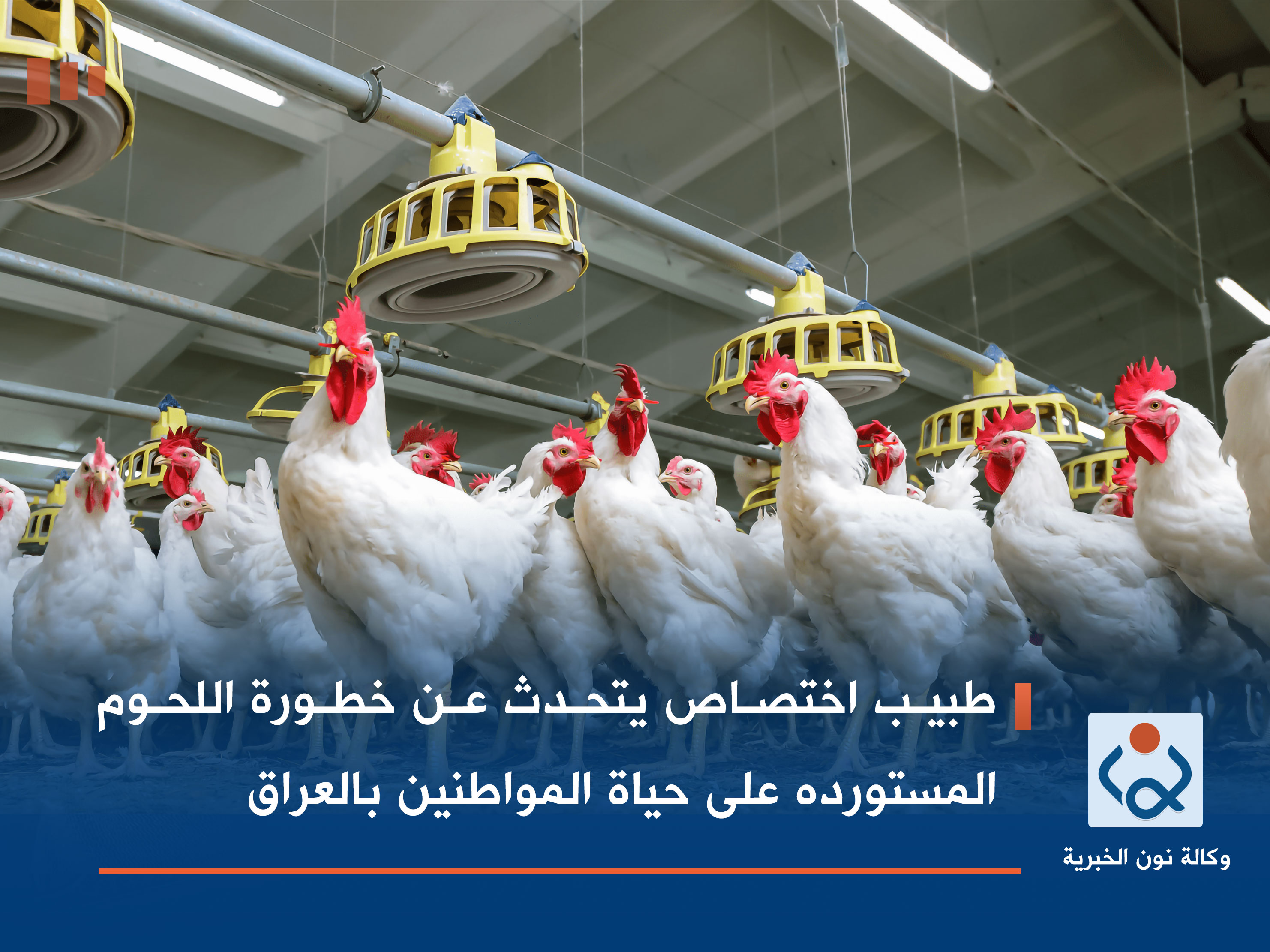 طبيب اختصاص يتحدث عن خطورة اللحوم المستوردة على حياة المواطنين بالعراق (فيديو)