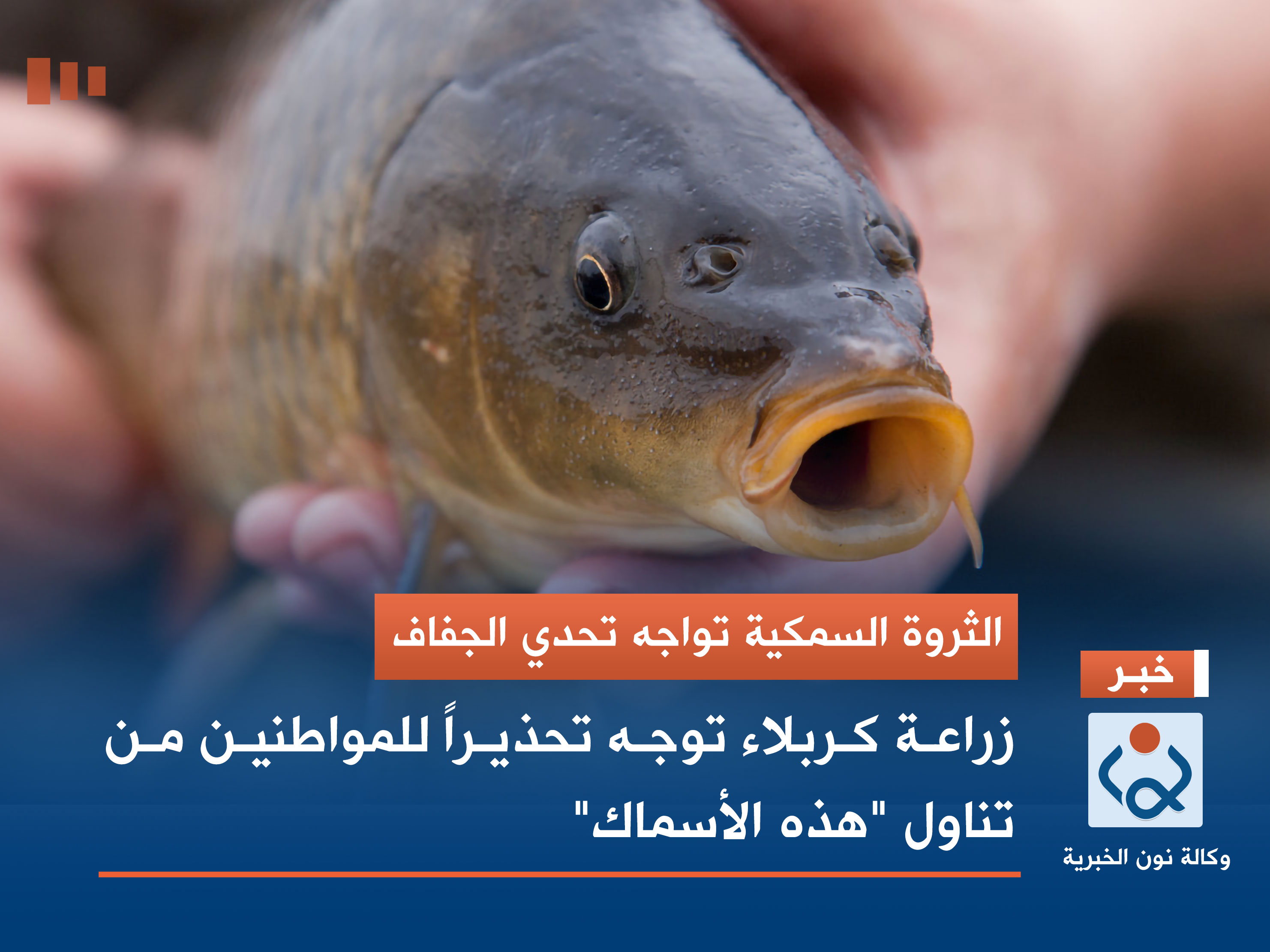 الثروة السمكية تواجه تحدي الجفاف.. زراعة كربلاء توجه تحذيراً للمواطنين من تناول "هذه الأسماك"