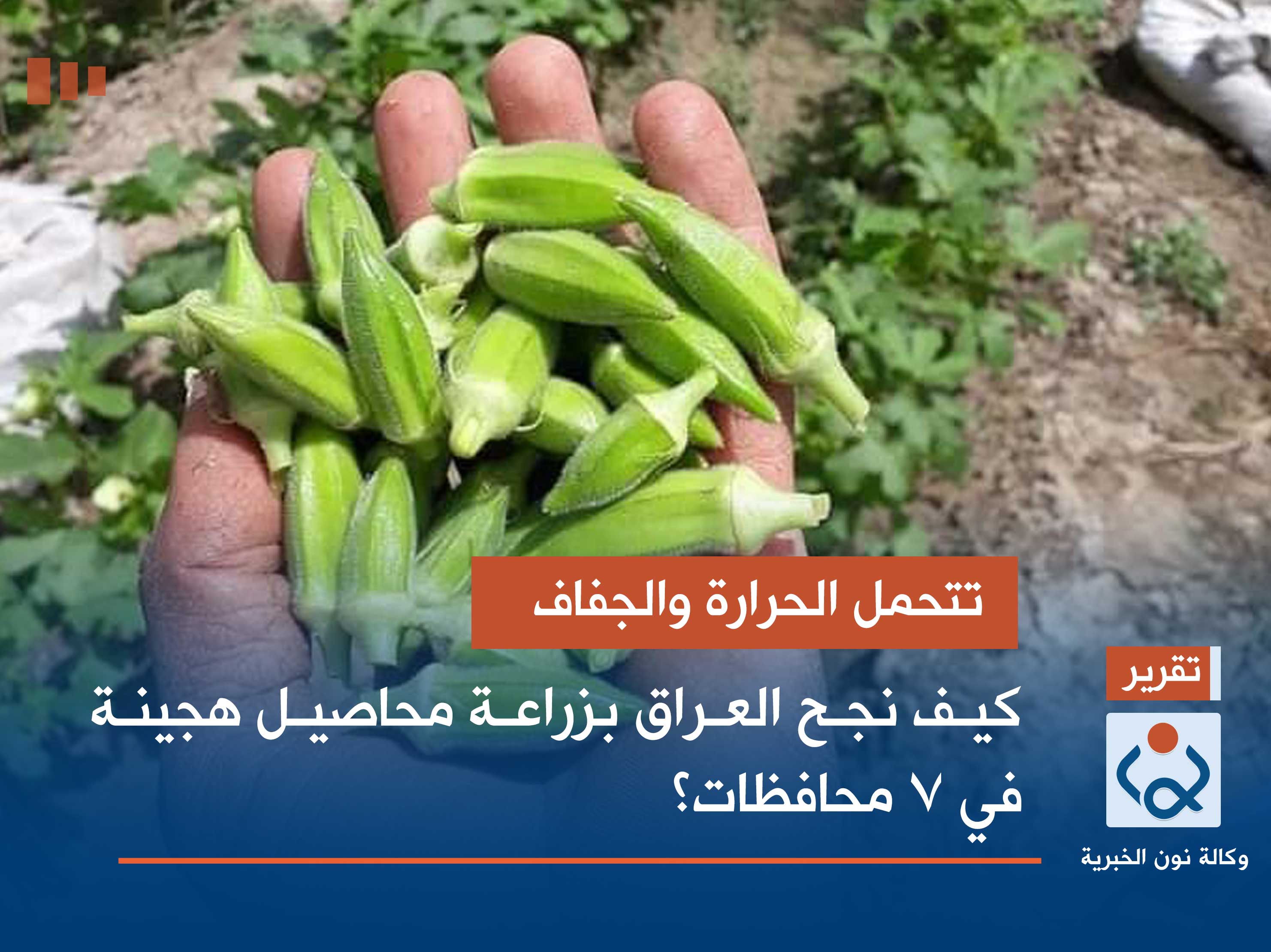 تتحمل الحرارة والجفاف.. كيف نجح العراق بزراعة محاصيل هجينة في 7 محافظات؟