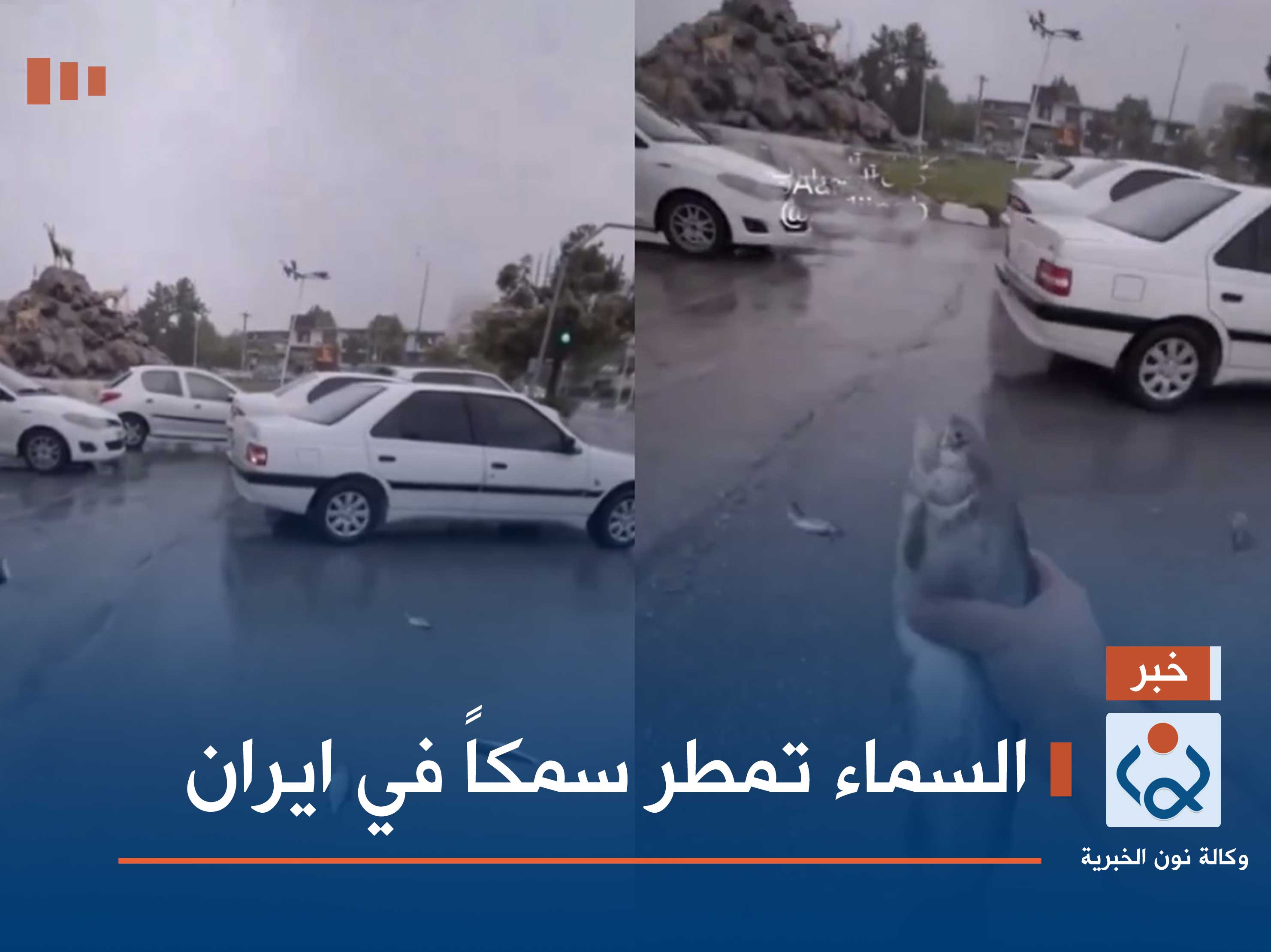 السماء تمطر سمكاً في ايران (فيديو)
