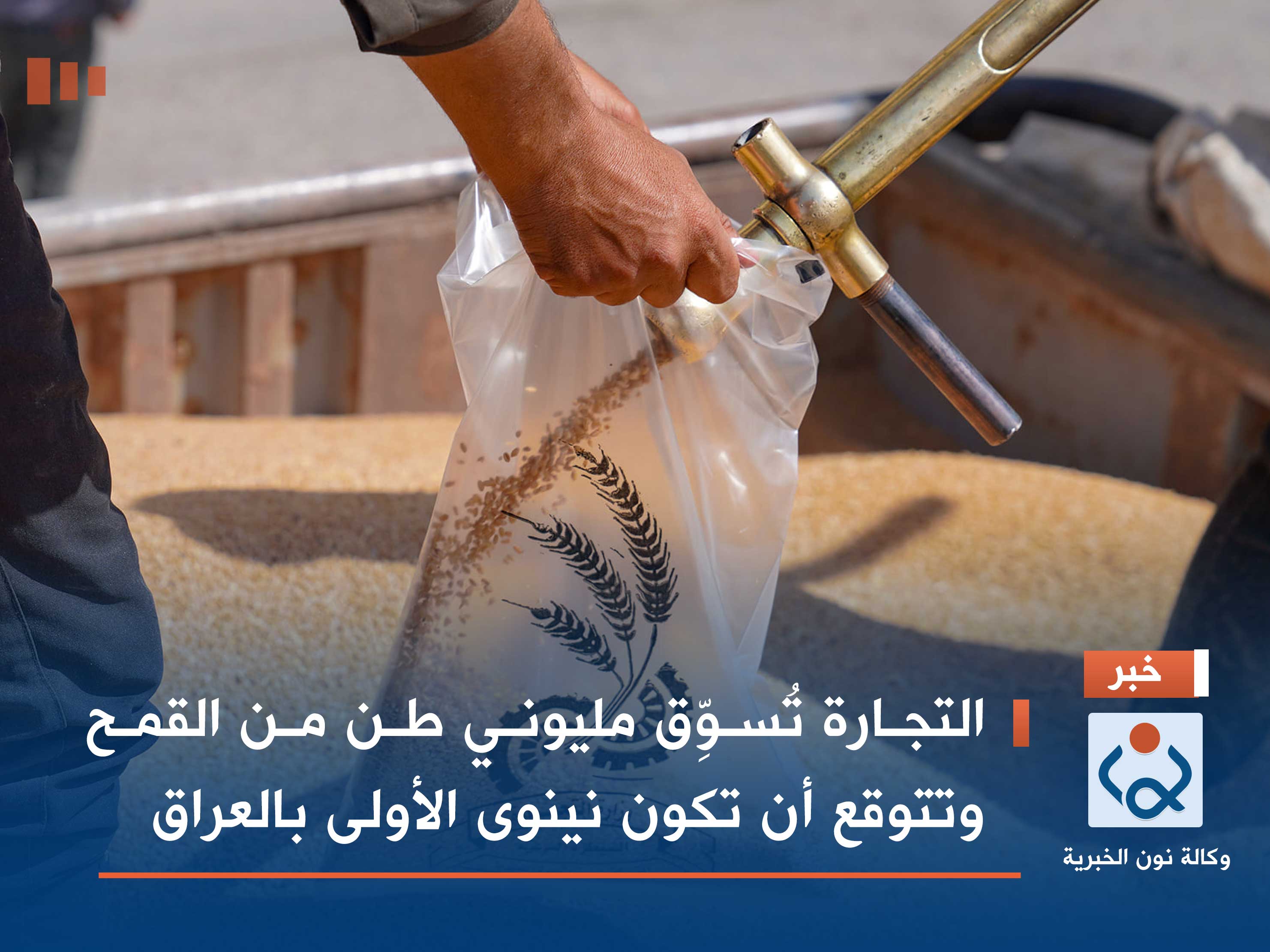 التجارة تُسوِّق مليوني طن من القمح وتتوقع أن تكون نينوى الأولى بالعراق