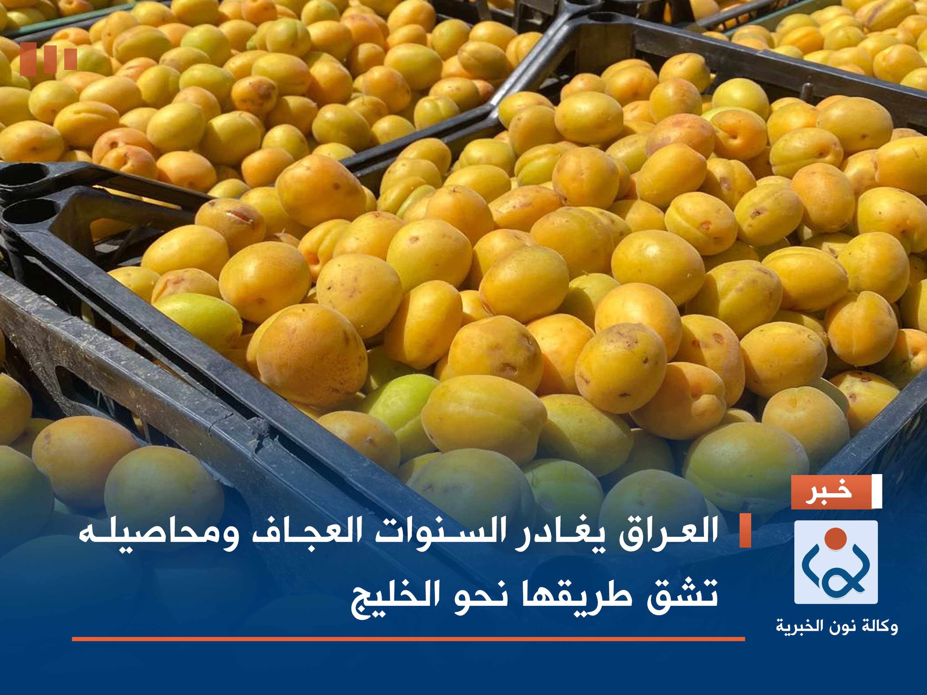 العراق يغادر السنوات العجاف ومحاصيله تشق طريقها نحو الخليج