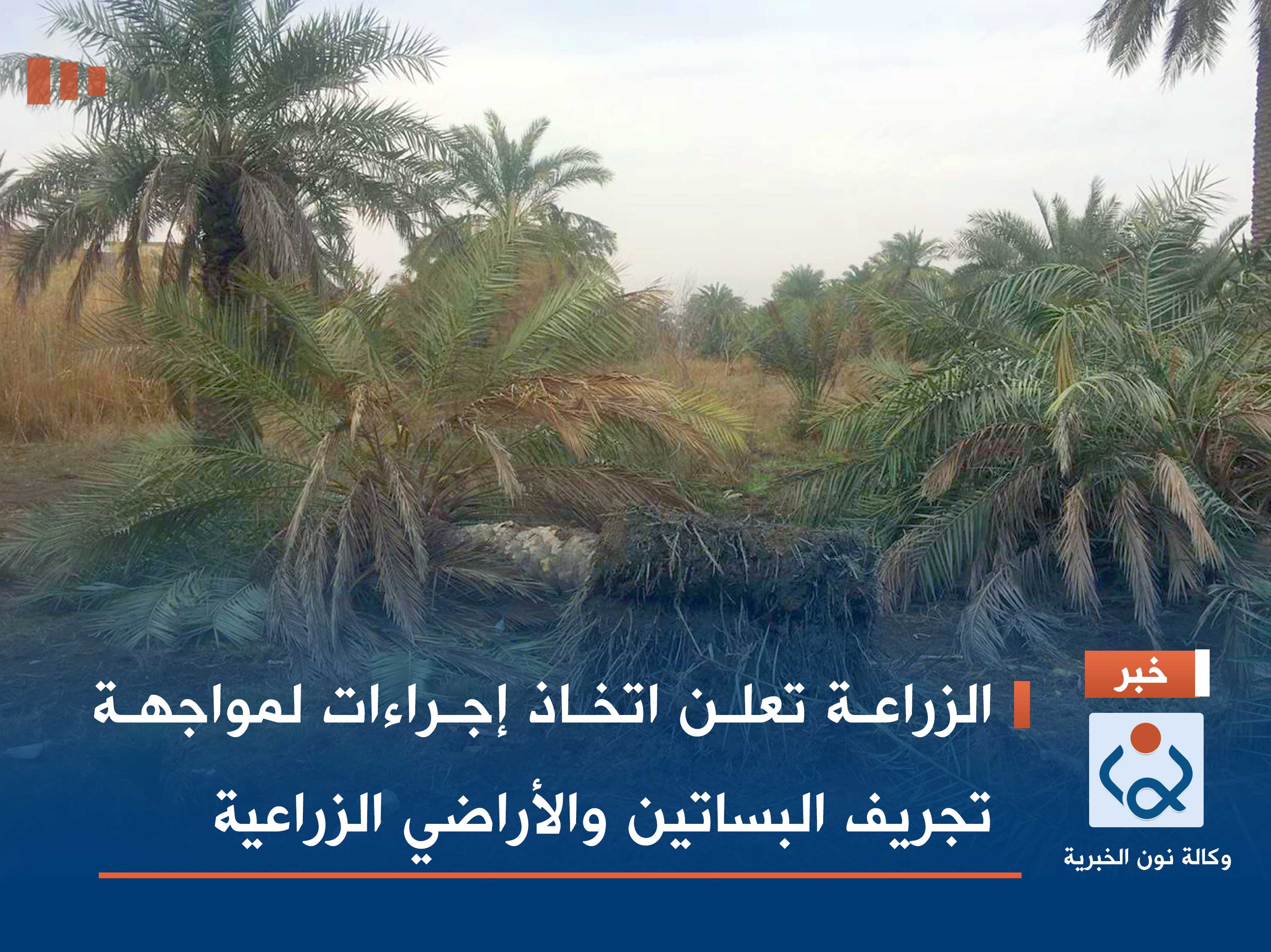 الزراعة تعلن اتخاذ إجراءات لمواجهة تجريف البساتين والأراضي الزراعية