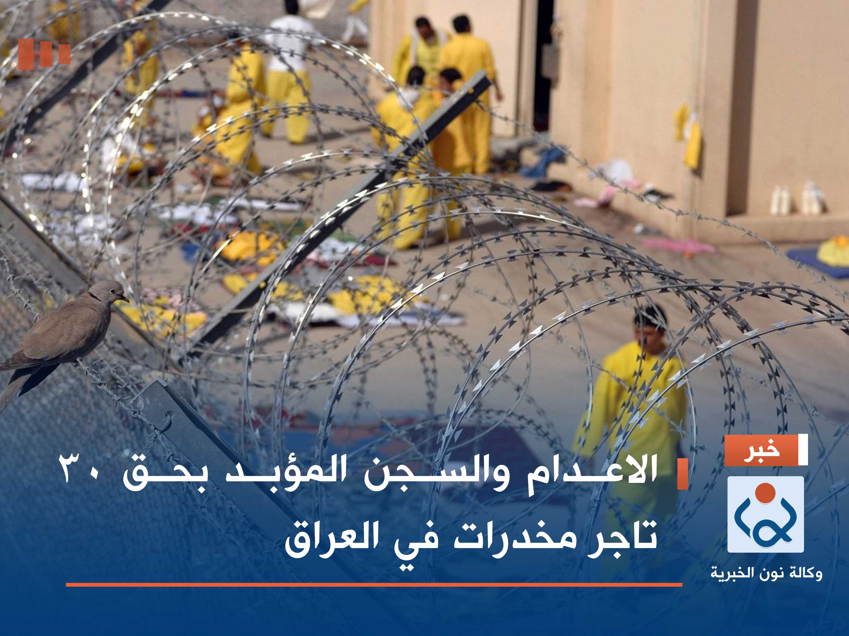 الاعدام والسجن المؤبد بحق 30 تاجر مخدرات في العراق