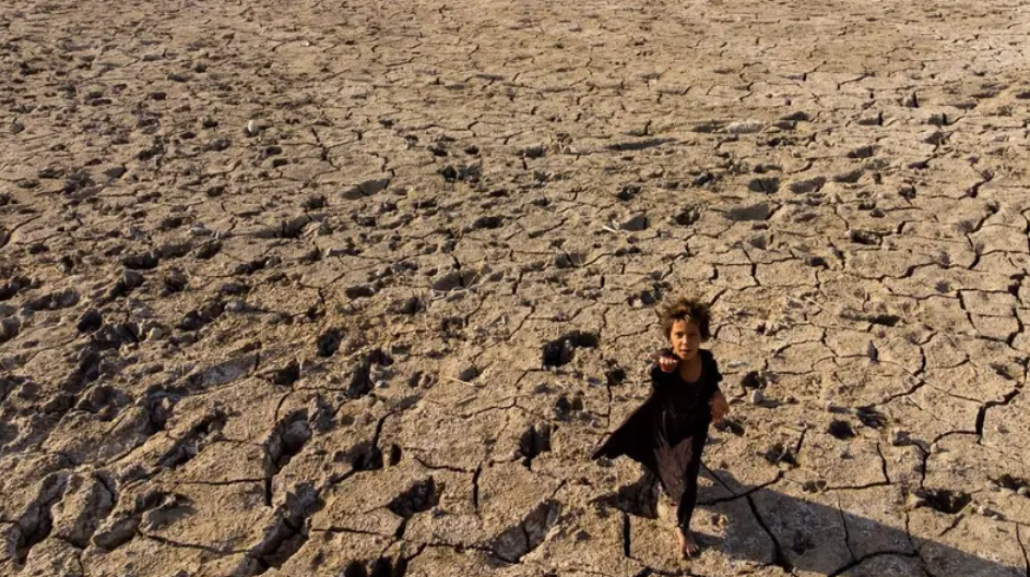 التشجير ومواجهة التصحر