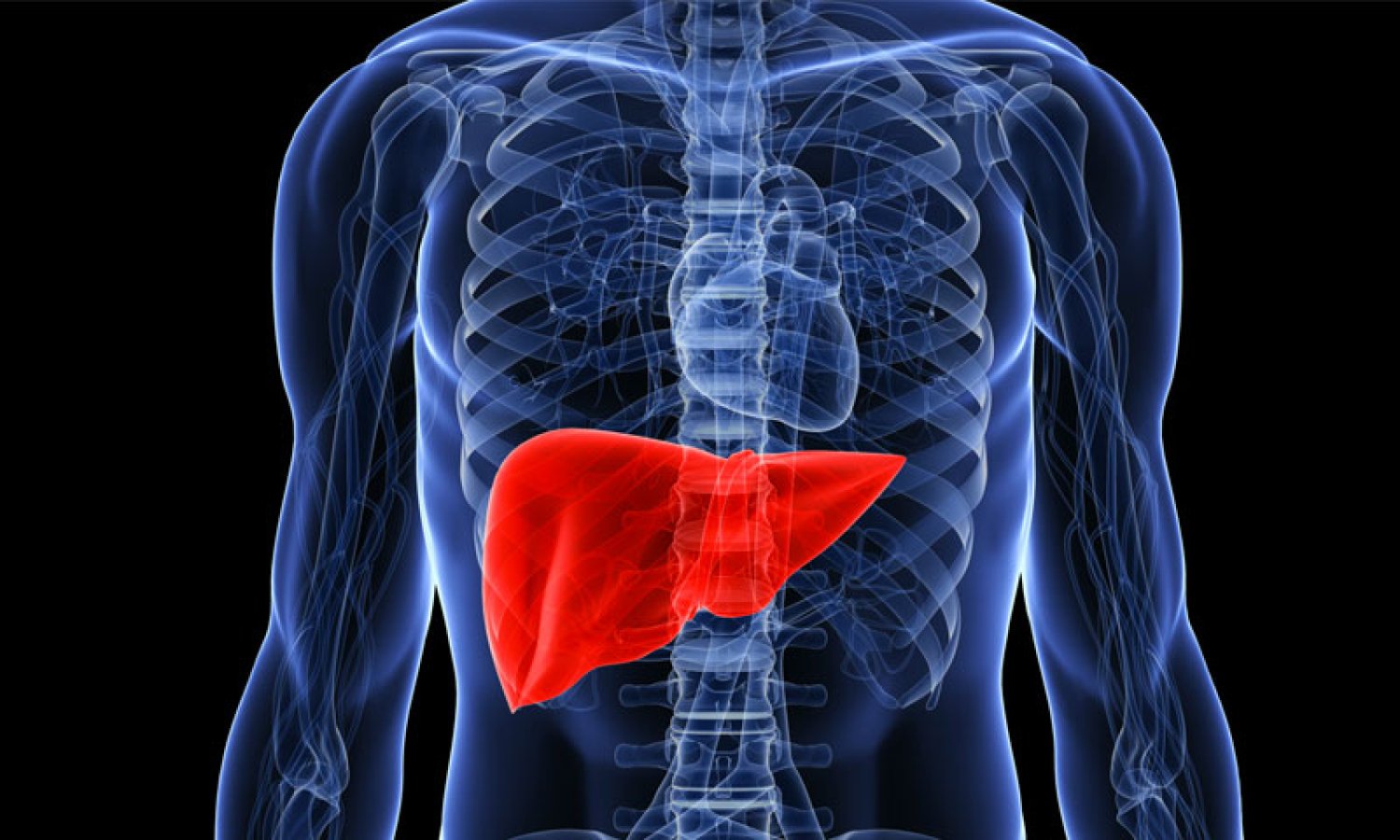 الأطعمة الأكثر ضررا للكبد