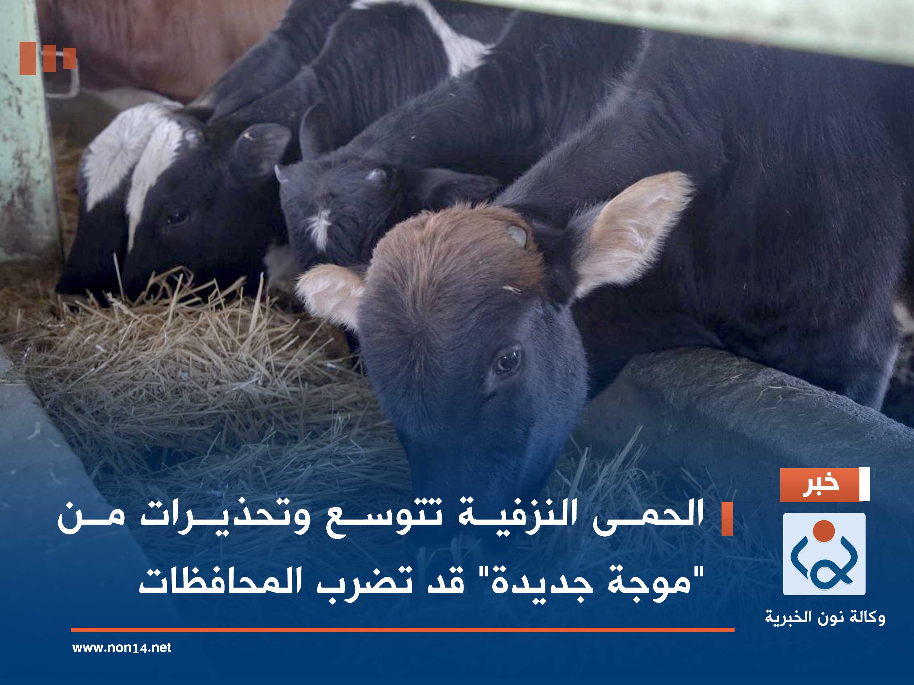 الحمى النزفية تتوسع وتحذيرات من "موجة جديدة" قد تضرب المحافظات