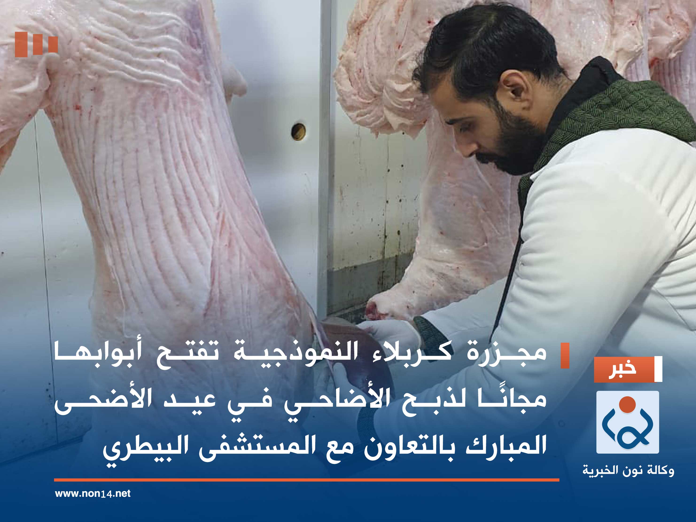 مجزرة كربلاء النموذجية تفتح أبوابها مجانًا لذبح الأضاحي في عيد الأضحى المبارك بالتعاون مع المستشفى البيطري