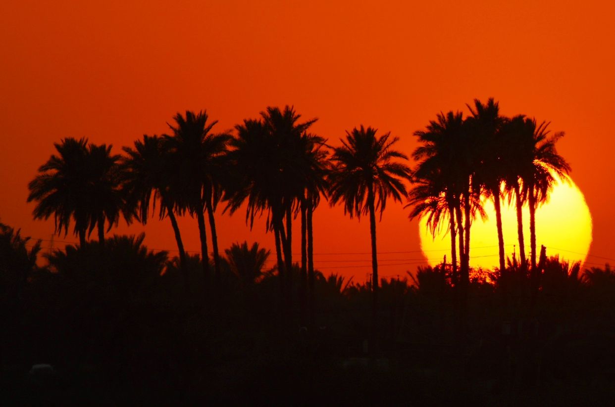 محافظة عراقية تقلّص ساعات الدوام الرسمي بسبب موجة الحر