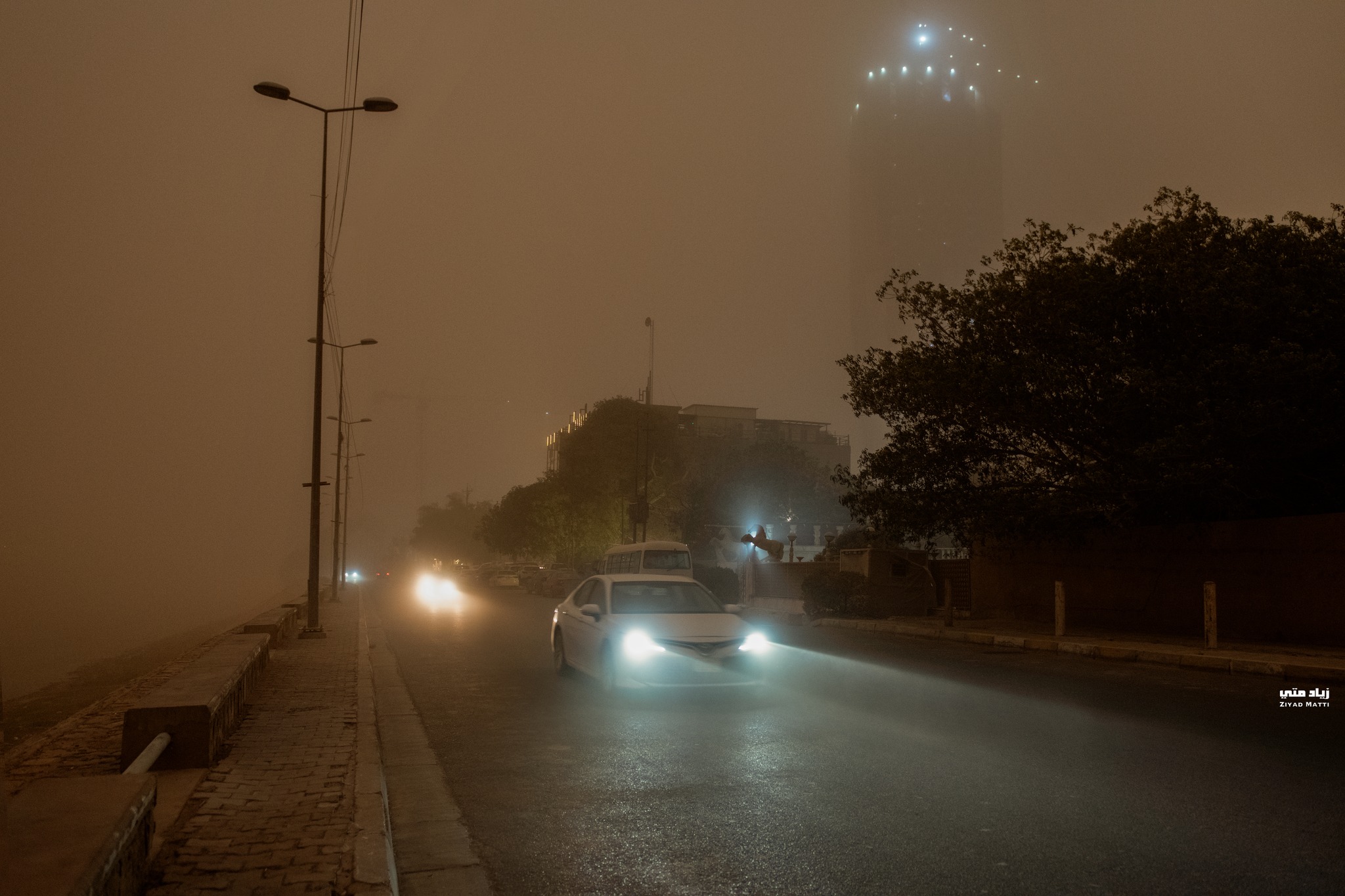 الحزام الأخضر يتلاشى.. شح المياه والفساد يجهضان مشروع بغداد البيئي