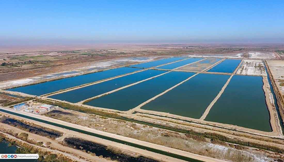 بالتفاصيل:تصدير الاسماك من كربلاء الى الاردن ودول اخرى