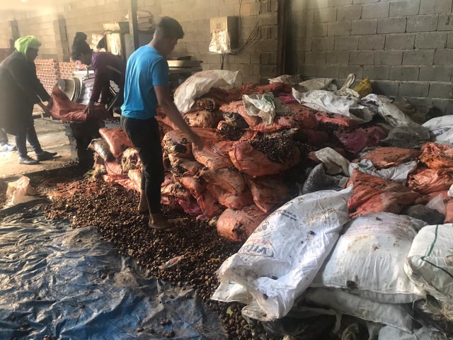 بالصور :العثور على معمل " متخفي " لتصنيع وتسويق التمور وإنتاج الدبس بكربلاء والرقابة الصحية تتلف جميع منتجاته