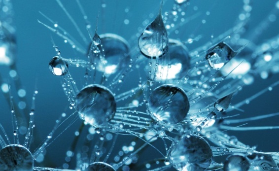 دراسة: الماء المغلي يقضي بالكامل على كورونا وهذا ما يفعله الماء المكلور بالفيروس