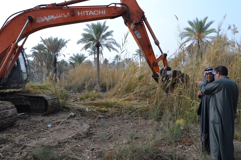 كربلاء :تطهير المبازل من قصب البردي لمنع انتشار الخنازير