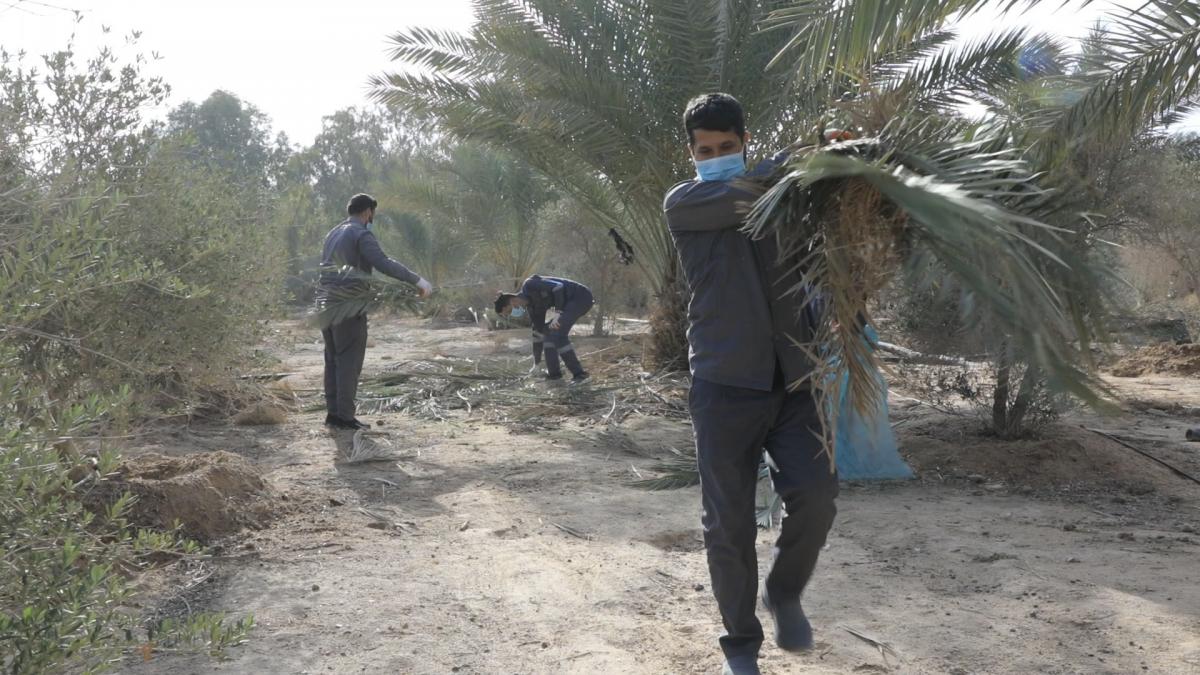 بالصور:حملة تنظيفٍ موسّعة للحزام الأخضر في كربلاء ..تعرف على الجهة التي تقوم بالحملة