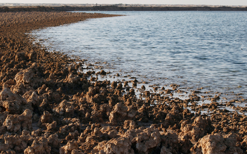 الموارد تعلن عودة المياه الى بحيرة ساوة