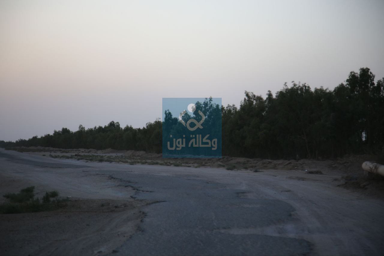 بالصور:العتبة الحسينية المقدسة تنقذ الحزام الاخضر الشمالي بكربلاء من الهلاك وتعيده الى الحياة