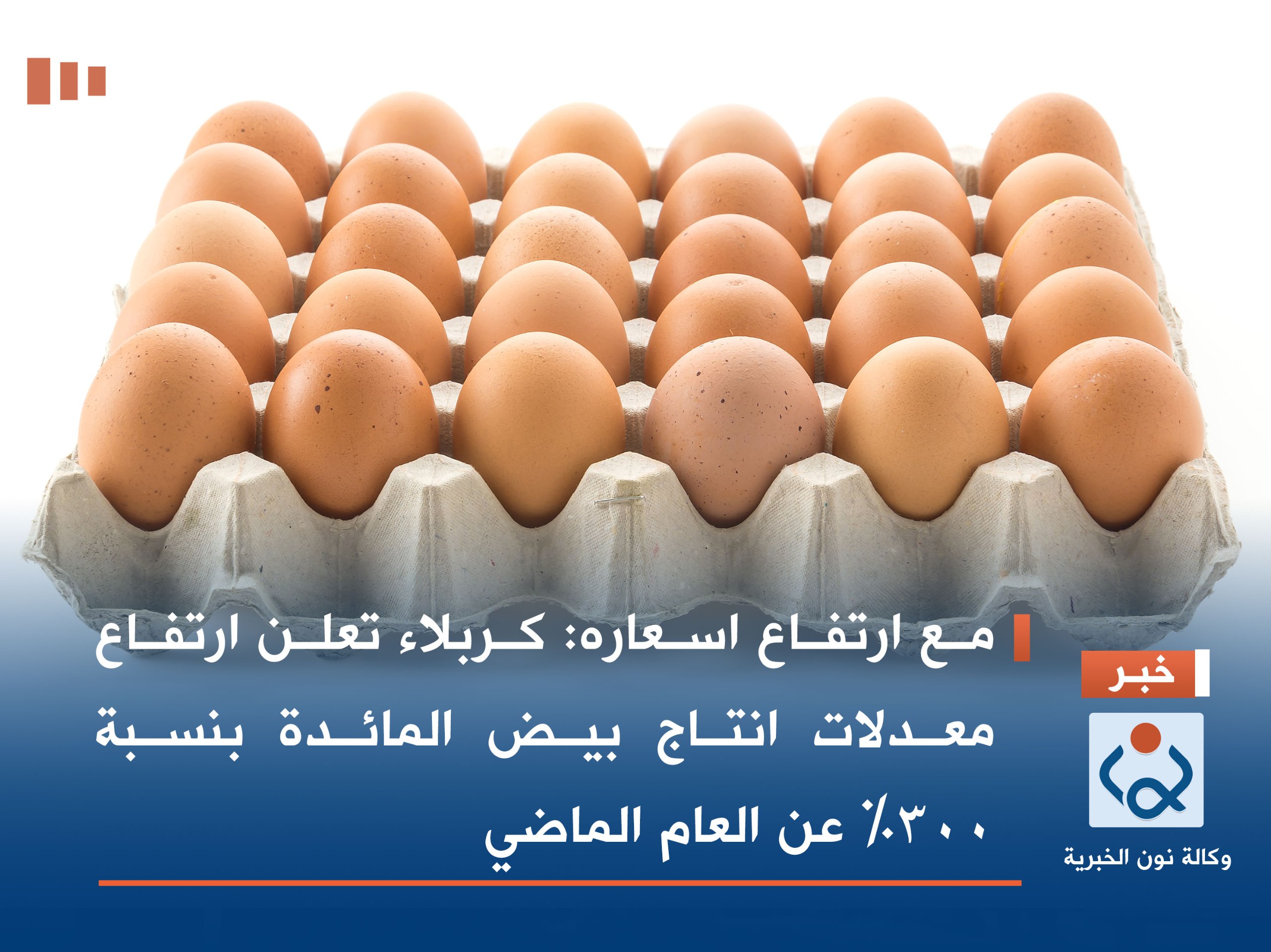 مع ارتفاع اسعاره: كربلاء تعلن ارتفاع معدلات انتاج بيض المائدة بنسبة 300% عن العام الماضي
