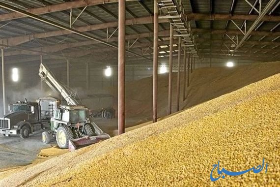 التجارة: خزين الحنطة كافٍ