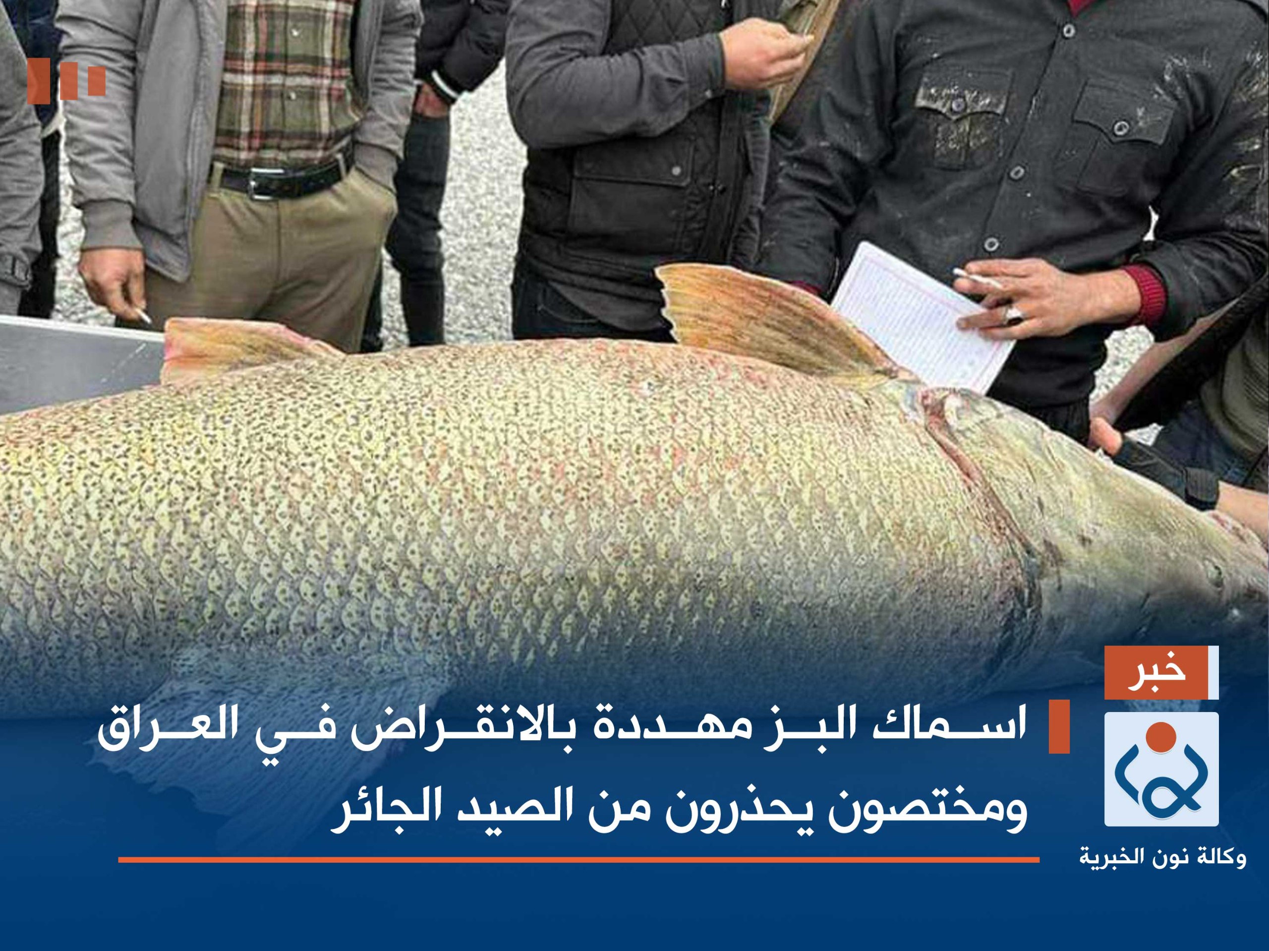 بالفيديو:اسماك البز مهددة بالانقراض في العراق ومختصون يحذرون من الصيد الجائر