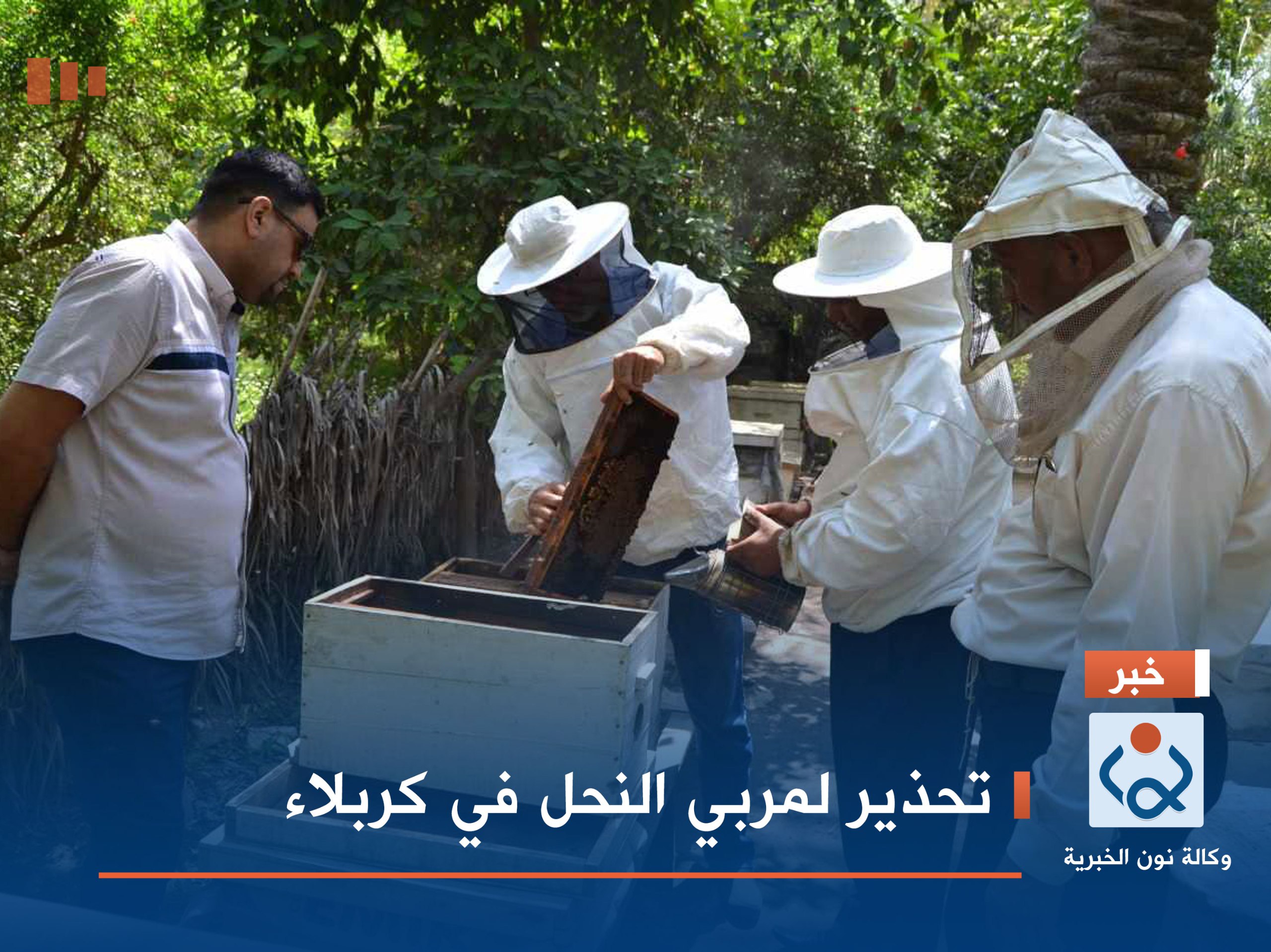 تحذير لمربي النحل في كربلاء